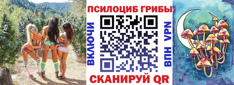 купить наркотик Гусев Псилоцибиновые грибы мухоморы